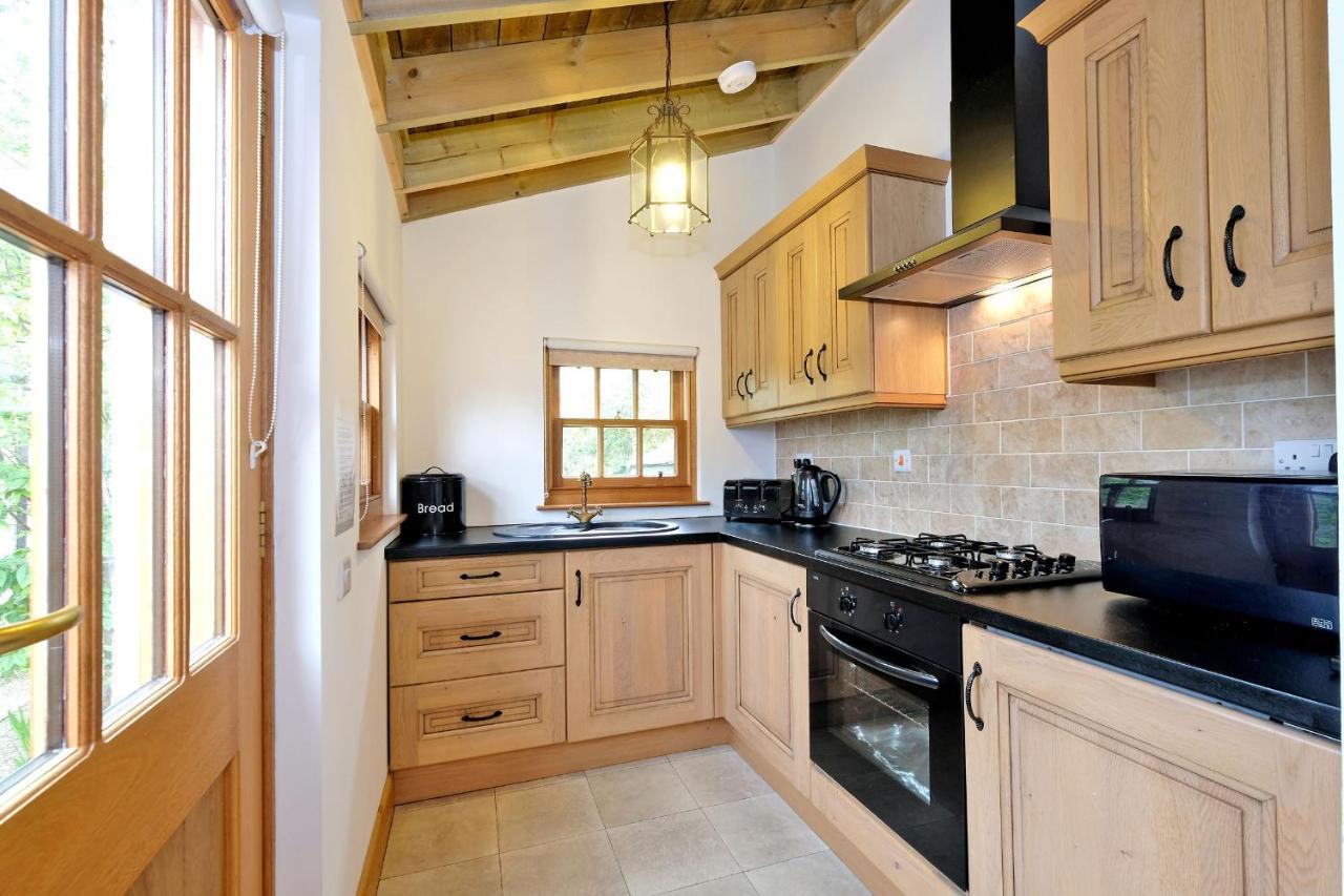 Entire Unique Tiny House - Moss Cabin Banff Ngoại thất bức ảnh
